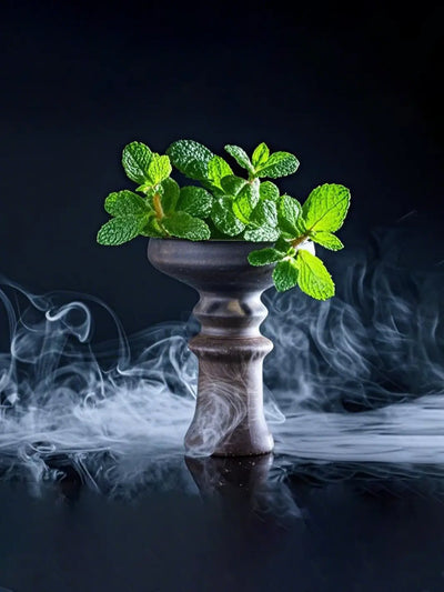 Premium Shisha